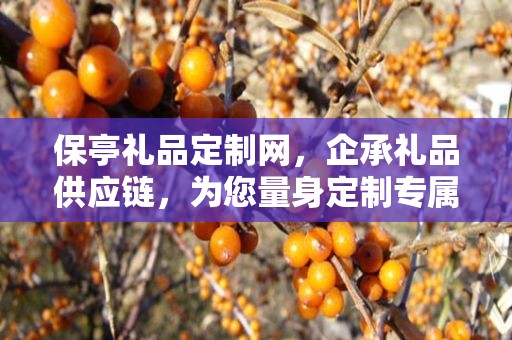 保亭礼品定制网，企承礼品供应链，为您量身定制专属礼品
