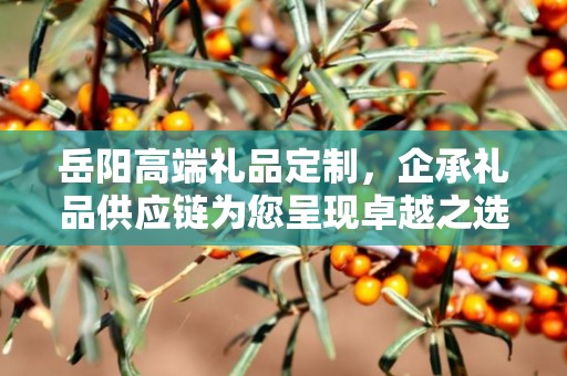 岳阳高端礼品定制，企承礼品供应链为您呈现卓越之选