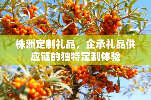 株洲定制礼品，企承礼品供应链的独特定制体验