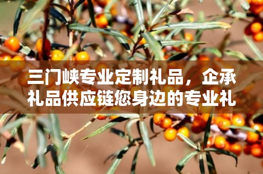三门峡专业定制礼品，企承礼品供应链您身边的专业礼品定制公司