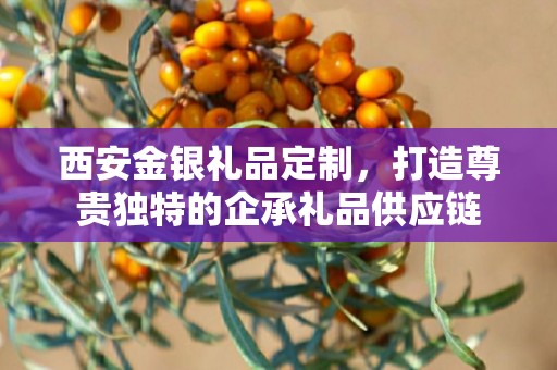 西安金银礼品定制，打造尊贵独特的企承礼品供应链